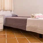 Vistas Del Ultimo Paraiso * Conil De La Frontera