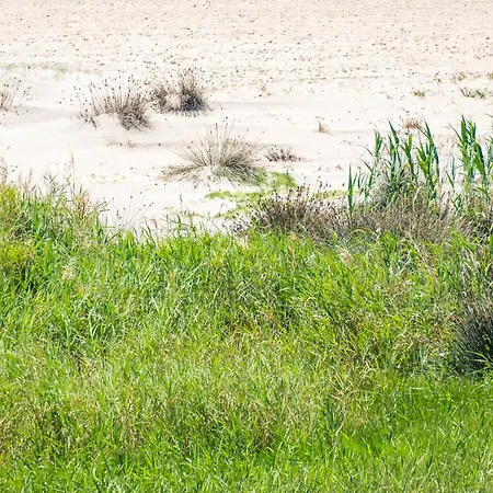 Vistas Del Ultimo Paraiso * Conil De La Frontera