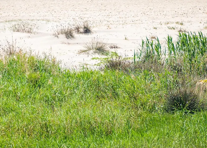 Vistas Del Ultimo Paraiso * 科尼尔-德拉弗龙特拉